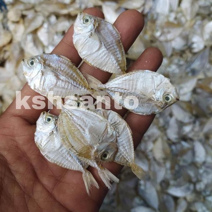 

ikan asin petek halus-1kg