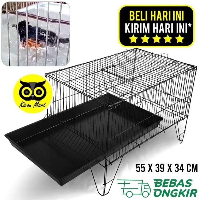 TATAKAN KERAMBA MANDI BURUNG ECO PLUS | BAK MANDI SANGKAR PLASTIK KACER/MURAI