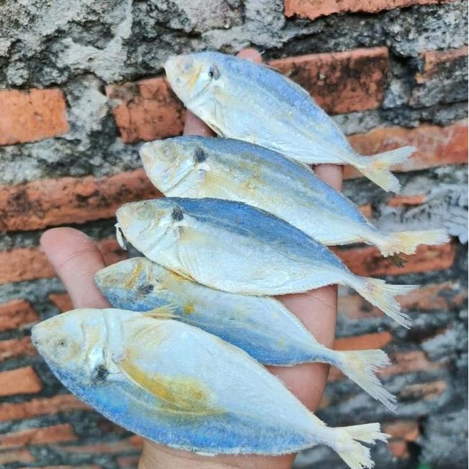 

ikan asin selar murah 1kg