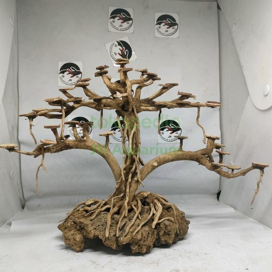Tebing Akar Kayu Bonsai Beringin Double Hiasan Aquarium Aquascape