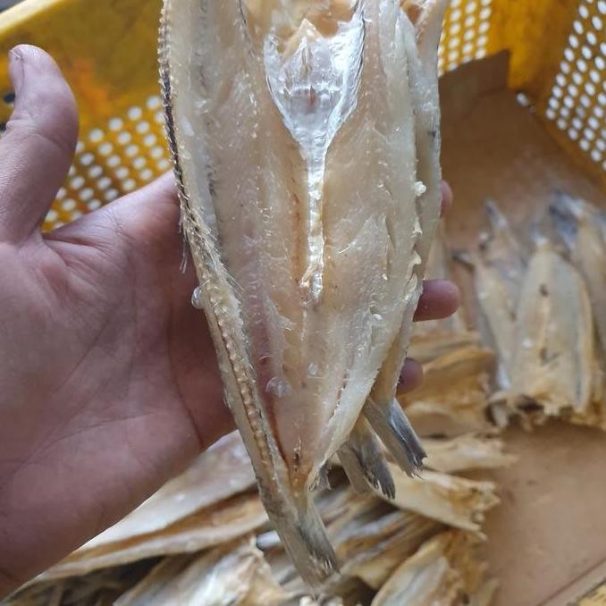 

ikan asin kacang-kacang 500gram