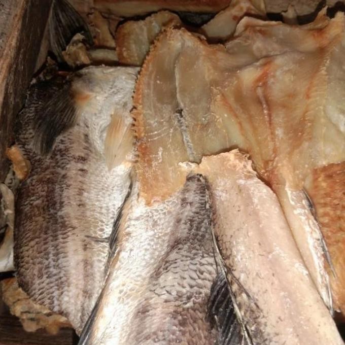 

Ikan Gabus berkualitas tidak terlalu asin 1Kg - 1/2 Kg - 1/4 kg