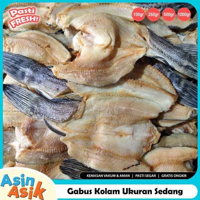

Ikan Asin Gabus Kolam Ukuran Sedang Premium Kualitas Super Segar Murah