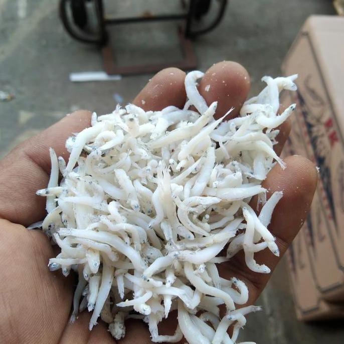 

Teri nasi medan/teri nasi halus/ikan asin teri medan