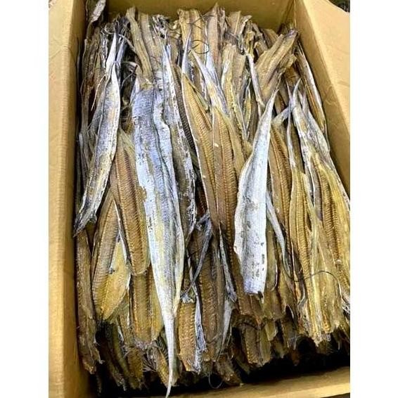 

IKAN ASIN LAYUR KERING TAWAR ENAK