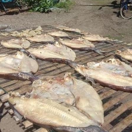 

OBRAL IKAN ASIN JAMBAL ROTI ASLI 1kg IZIN PIRT DAN HALAL Ngeprul khas