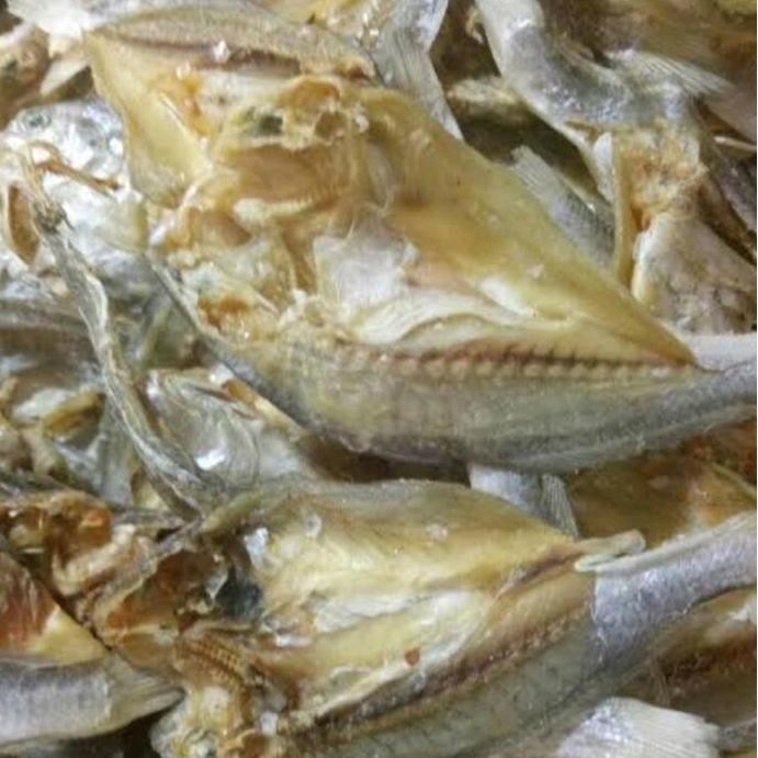 

Ikan Asin Gulamah Tawar Alami Alami Organik
