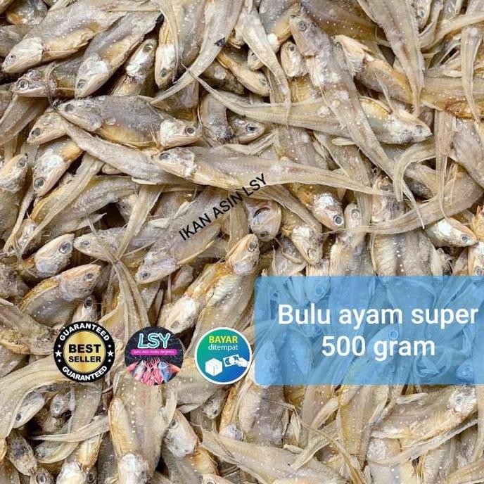 

ikan asin Bulu ayam kering super 500 gram