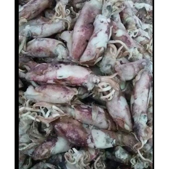 

Ikan Asin Baby Cumi Kering Makanan Gurih Lauk Sayur Asem Ukuran Kemasan 1kg