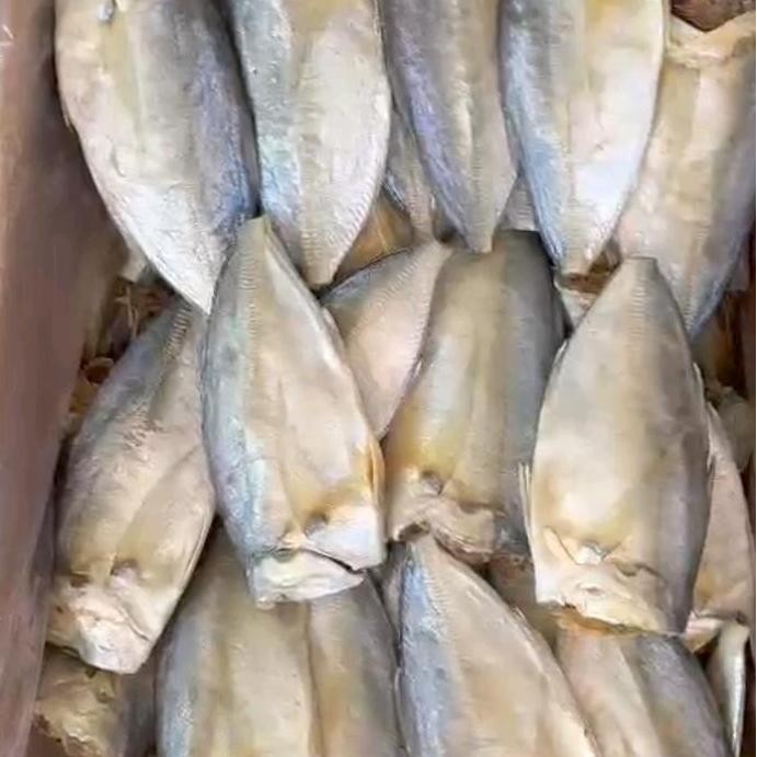 

ikan asin AA segar premium