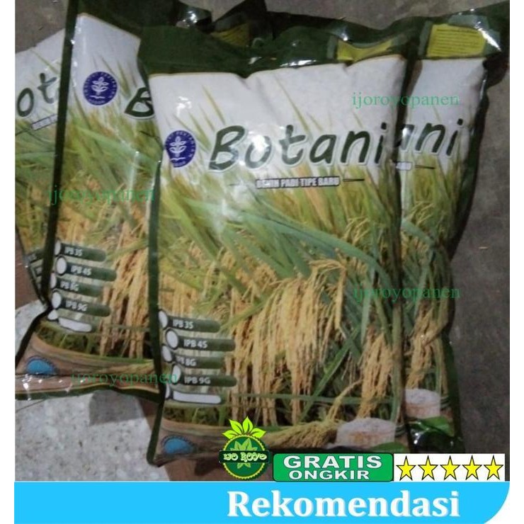Benih Padi Ipb 3S Original 5Kg Unggul Murah Premium Tanaman Unggul Berkualitas Terbaru Best Quality 