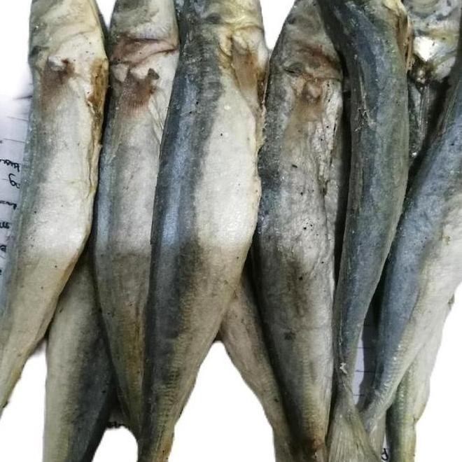 

Lagi PROMO ikan asin layang ../ klotok20 ekor. satu kg