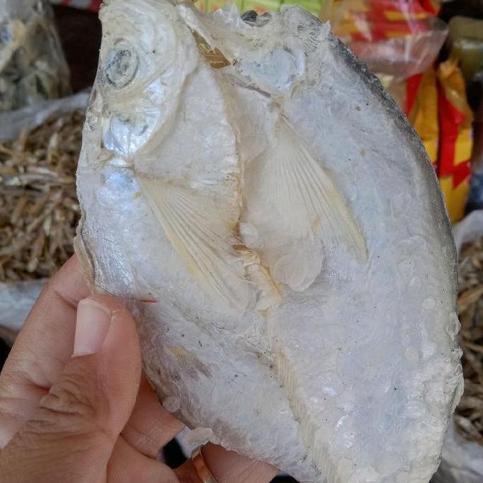 

ikan asin (lea) kwalitas premium kemasan 500gr