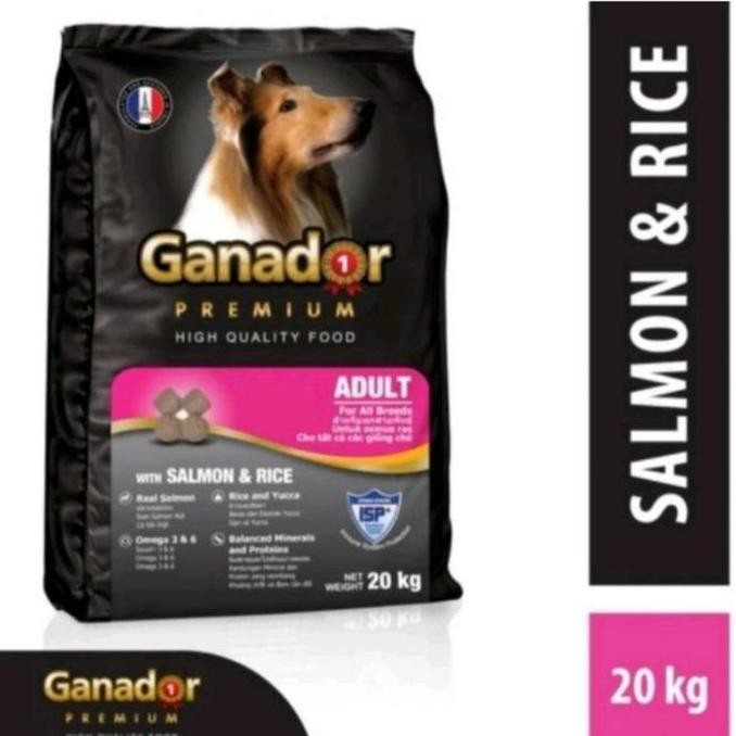 dogfood ganador salmon 20 kg