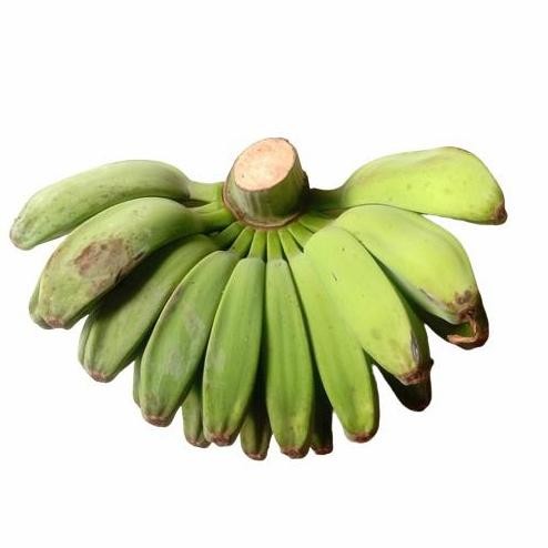 

Pisang Kepok 1 Sisir Pakan Burung