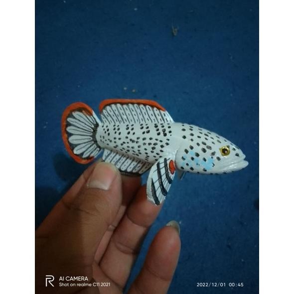 patung ikan chana barca/ replika patung chana DiM