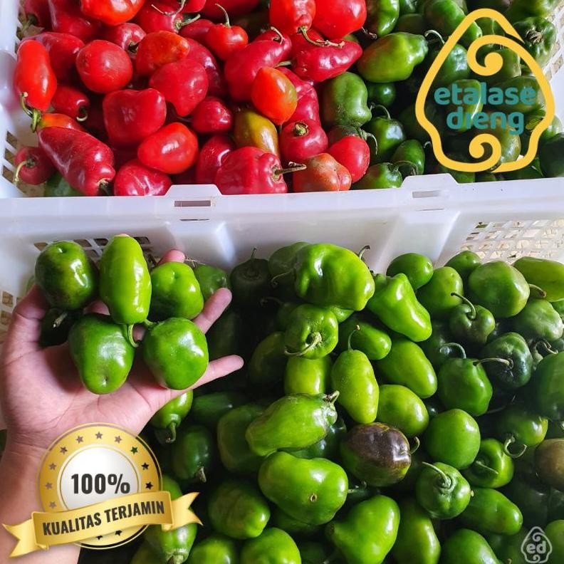 

Mudah Cabai / Cabe Gendot / Cabe Dieng / Cabe Gendut / Habanero / Cabe Fresh / Cabe / 1Kg / 0,5 Kg