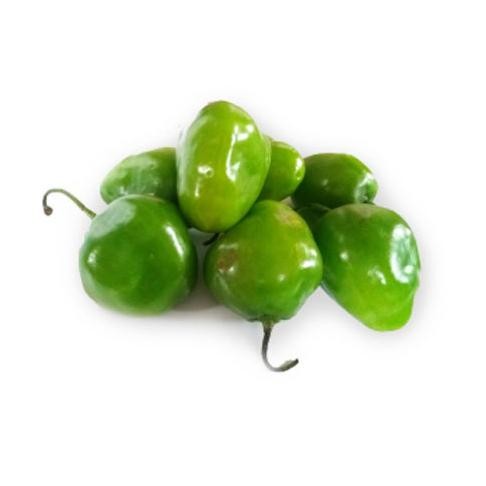 

Tersedia Sekarang 500Gr Cabe Gendot Cabai Bendot Segar