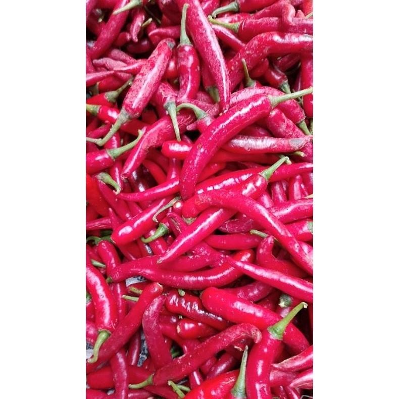 

Terpopuler Cabe Merah Besar Tw Beauty Pedas Merah 1 Kg