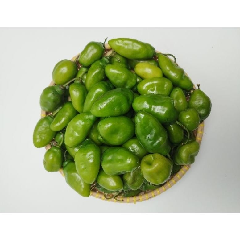 

Terjangkau Cabe Gendot Hijau 1 Kg - Dipetik Langsung Dr Kebun