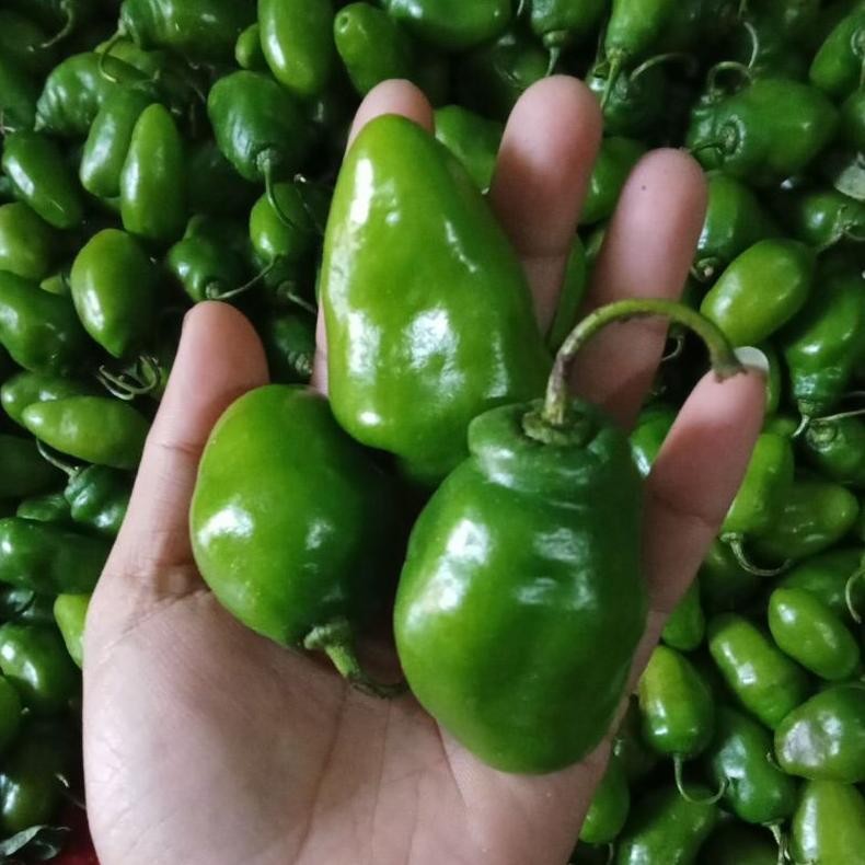 

Garansi Cabe Cabai Gendot / Bendot / Gendol / Fresh 500Gr / Sayuran - Buah Segar / Bisa Cod