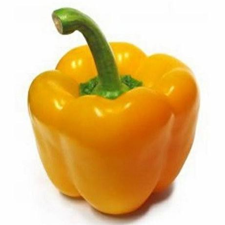 

Terbaru 250Gr - Cabai Bandar Sayur [ Cabe Rawit Merah - Hijau / Cabe Keriting Merah -Hijau / Cabe Besar Tw Merah-Hijau / Cabe Tanjung Merah / Cabe Gendot / Paprika Merah-Hijau-Kuning]