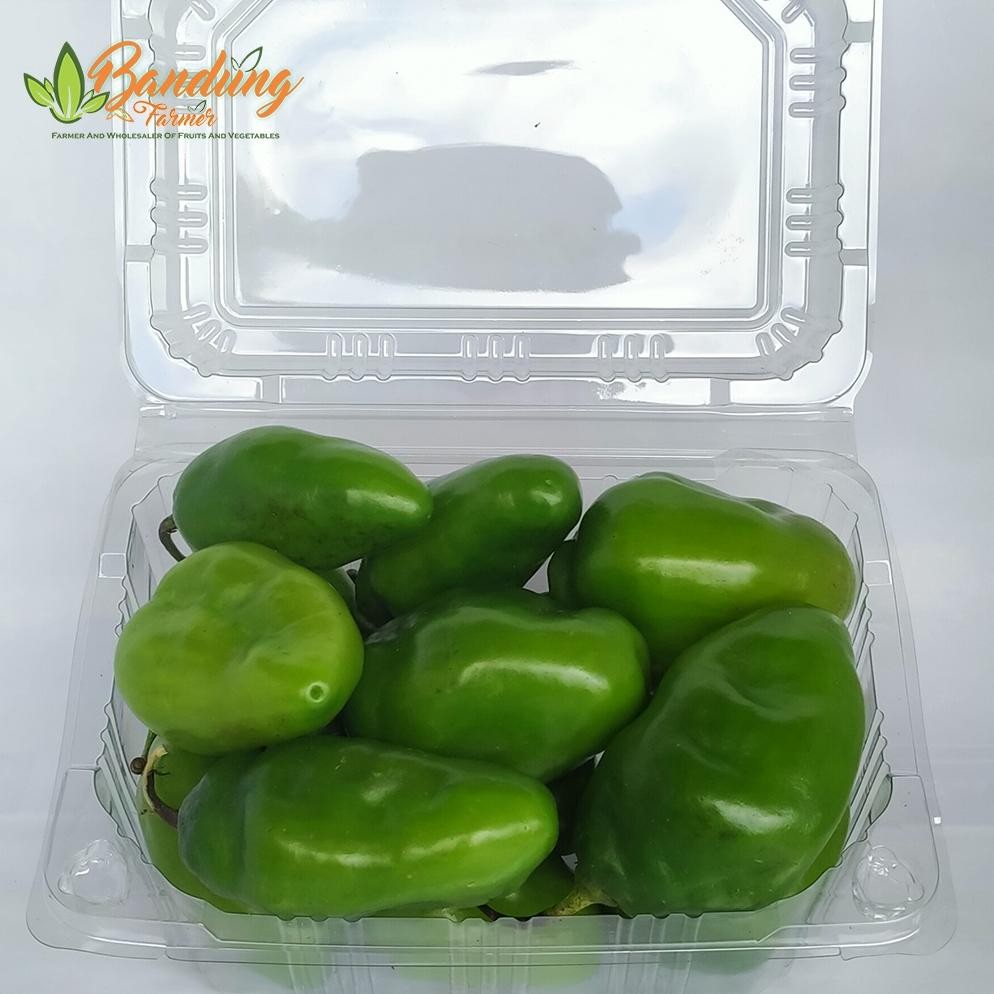 

Harga Terjangkau Cabe Gendot Bandung 250 Gr Fresh