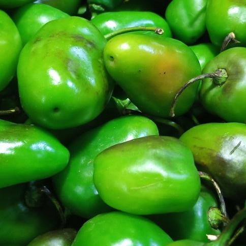 

Unik Cabe Cabai Gengot Bendot Gendol Segar 500Gr Sayur- Buah Fresh Bandung