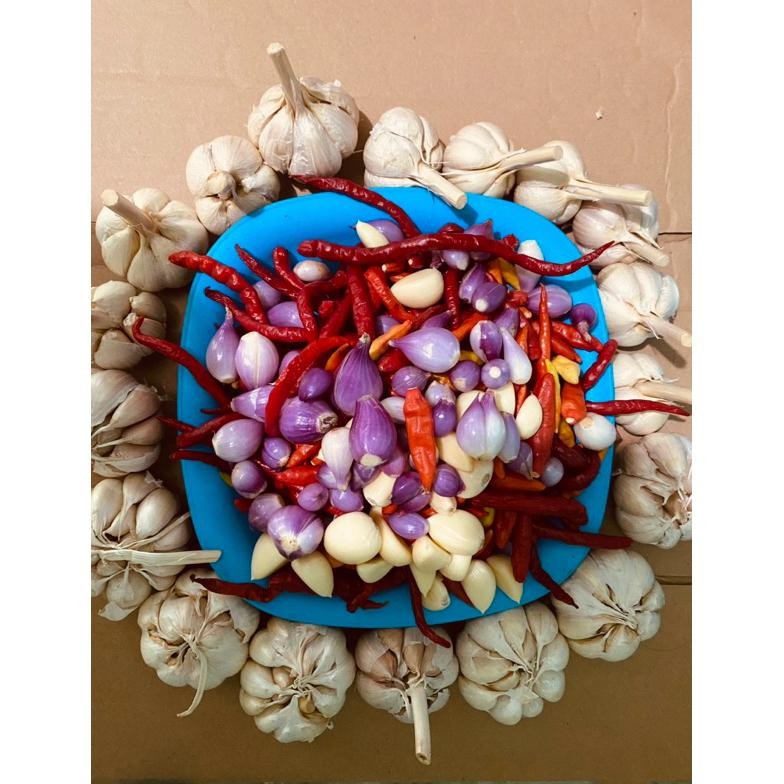 

Original Cabe Rawit Ori Probolinggo 1Kg