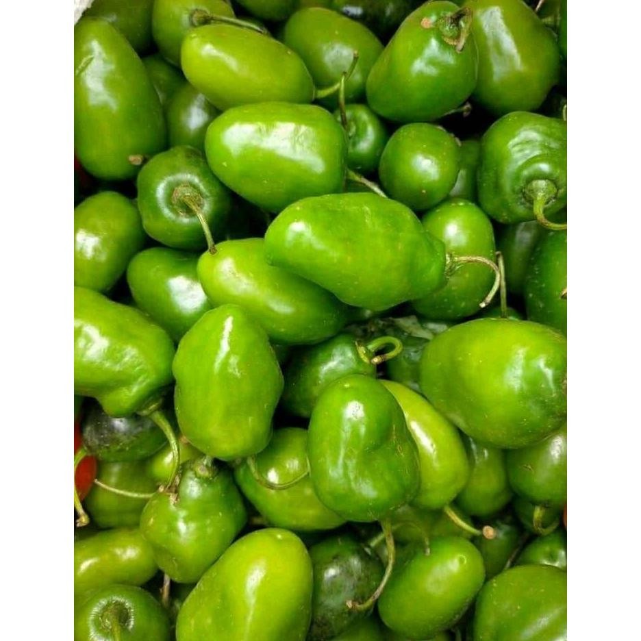 

Paling Dicari 250Gr Cabe Gendot Cabai Bendot Segar