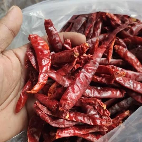

Praktis Cabe Kering | Cabe Merah Besar Kering Tanpa Tangkai | Kemasan Vakum