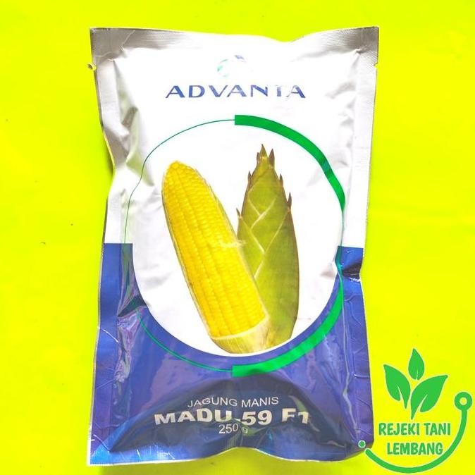 

TERMURAH BENIH JAGUNG MANIS MADU 59 F1 ISI 250GR BIBIT JAGUNG UNGGUL CEPAT PANEN