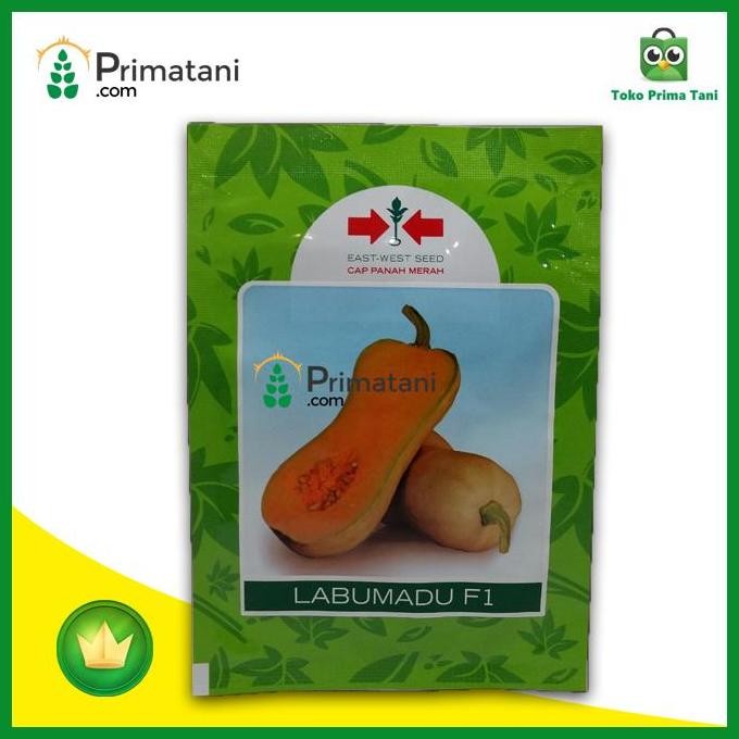 

TERMURAH BENIH LABU MADU F1 100 BUTIR | BIBIT UNGGUL MANIS & TAHAN HAMA