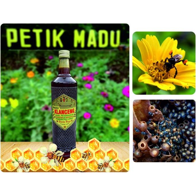 

TERMURAH MADU KLANCENG 600ML - MADU LEBAH TANPA SENGAT KAYA MANFAAT