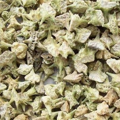 

300 G GR GRAM TRIBULUS TERRESTRIS BAI JI LI STAMINA LELAKI