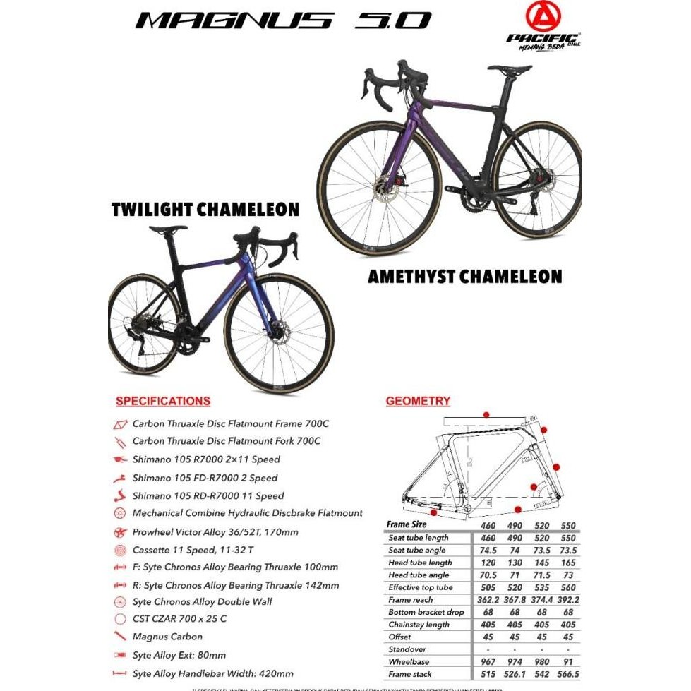 Pacific MAGNUS 5.0 Carbon 700C Roadbike Sepeda Balap ROAD BIKE
