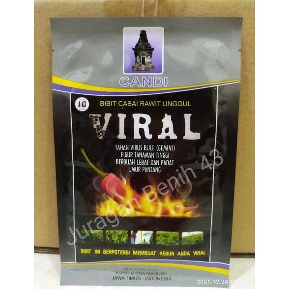 Benih Cabe Viral kemasan 10 gram