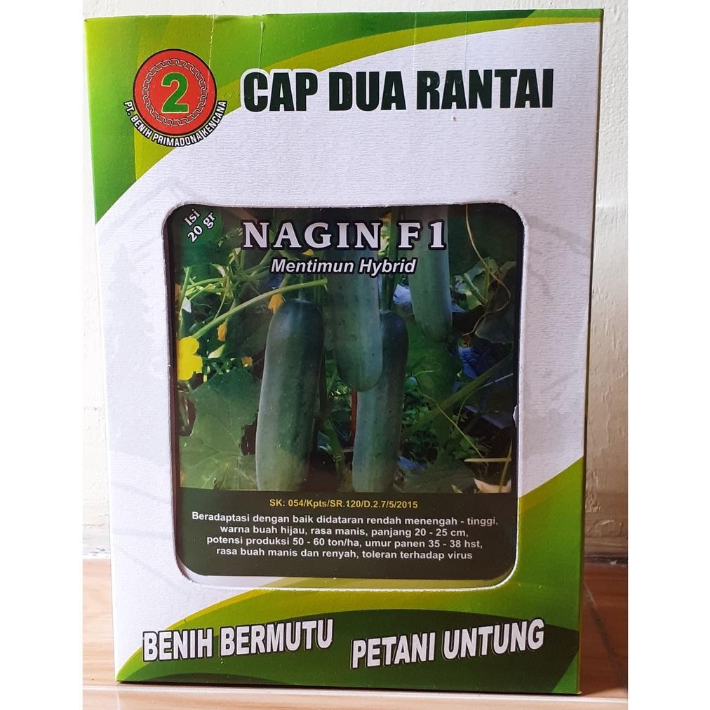 Benih / Bibit Mentimun / Timun Nagin F1 20 Gram Cap Dua Rantai Grosiran