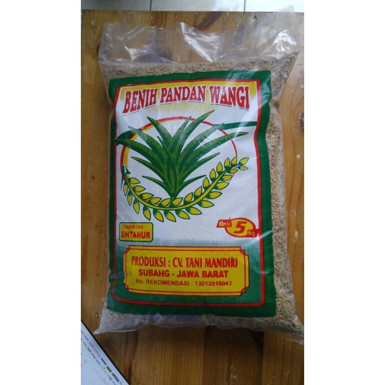 

Benih Padi Pandan Wangi Varietas Sintanur 5 kg