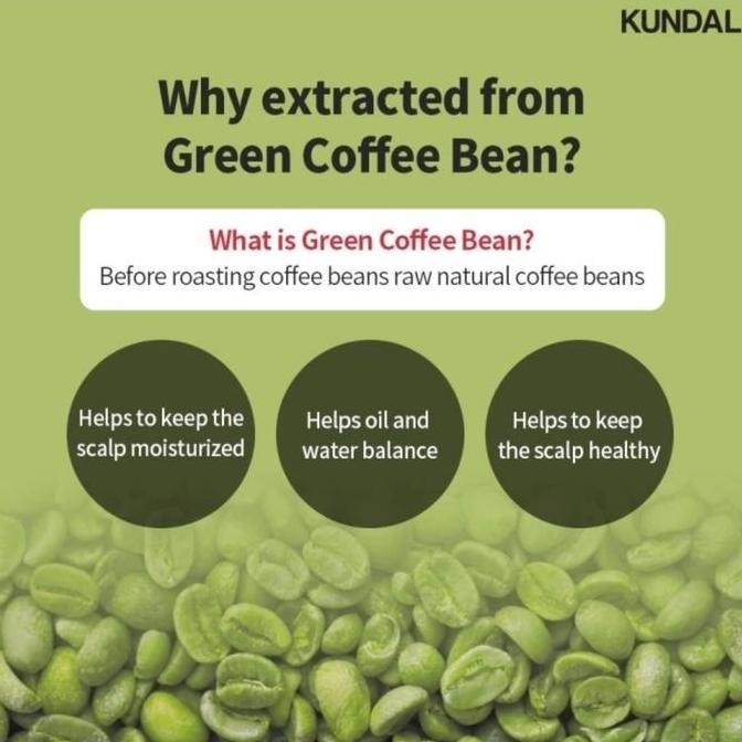 Kundal Scalp Care and Caffeine Shampoo 500ml