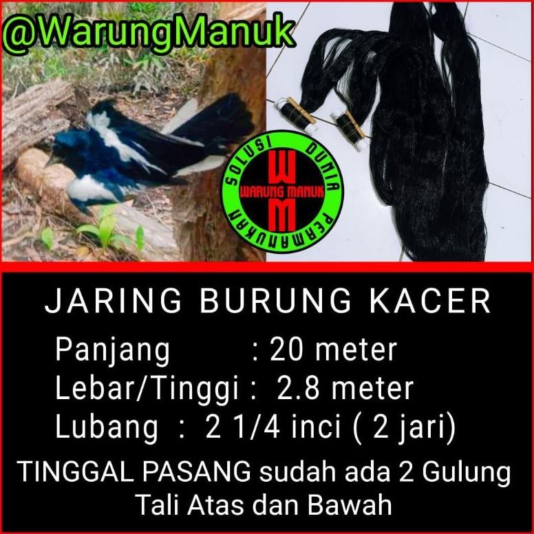 Jaring burung kacer 20 meter, jebakan burung kacer, jala burung kacer, perangkap burung kacer, jarin