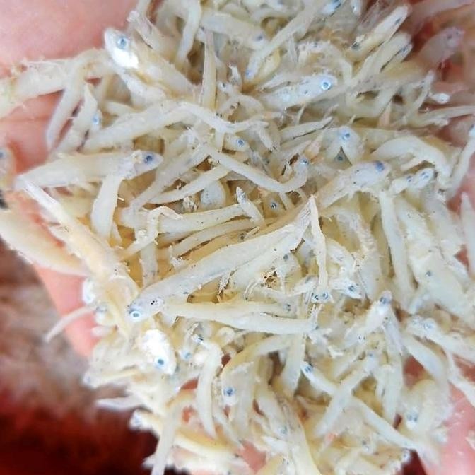 

Ikan Asin Teri Nasi Medan Kemasan 500 Gram Makanan Seafood