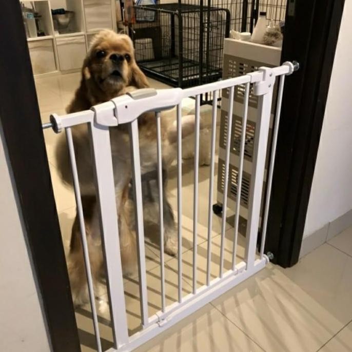 PAGAR ANJING KUCING / PAGAR PEMBATAS / PAGAR PENGHALANG / FENCE ANJING