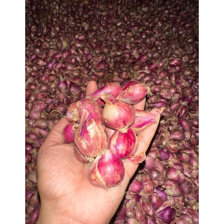

Fue-K5X20 Bawang Merah Lokal 1Kg Mb-64