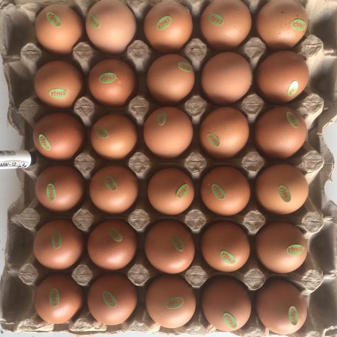 

Paket telur negri Omega 30butir is