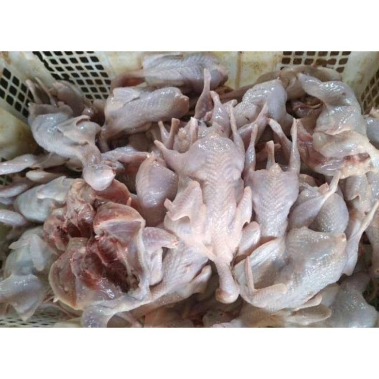 

Puyuh /daging puyuh mentah size A (Tanpa jeroan) 140gr-150gr Nugi