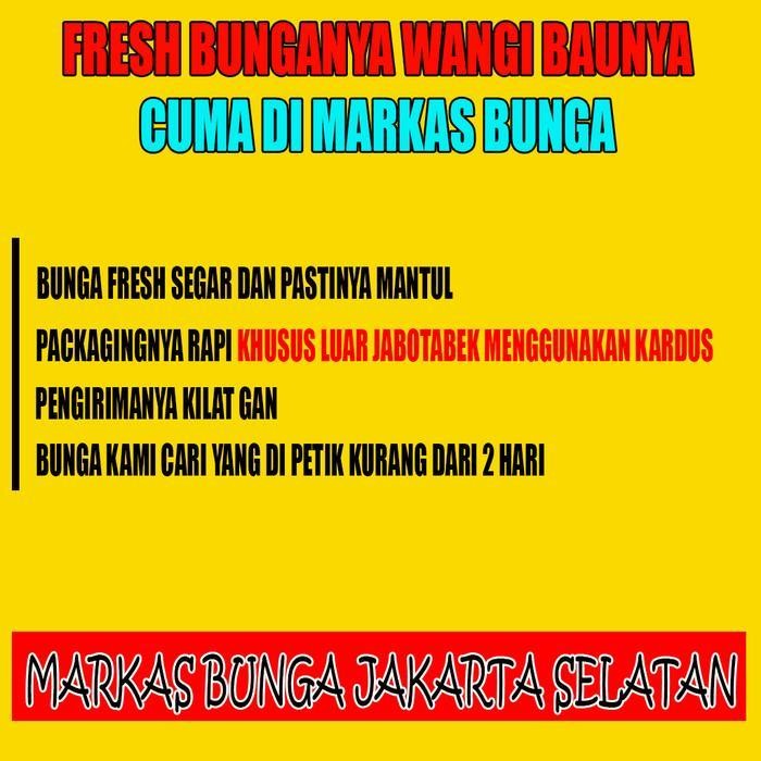 

Bis Bunga Melati Asli Fresh Segar Per 250 Gr