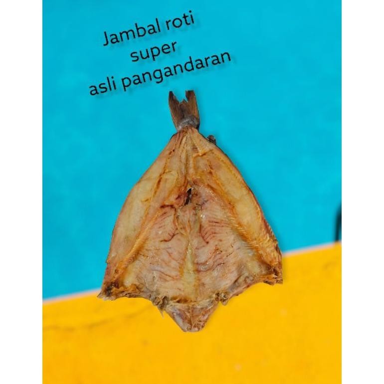 

Ikan Asin Jambal Roti Asli Super Pangandaran