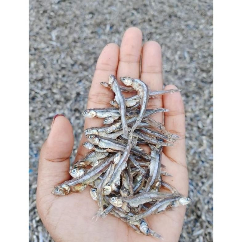

TERI TAWAR KERING 1000GR