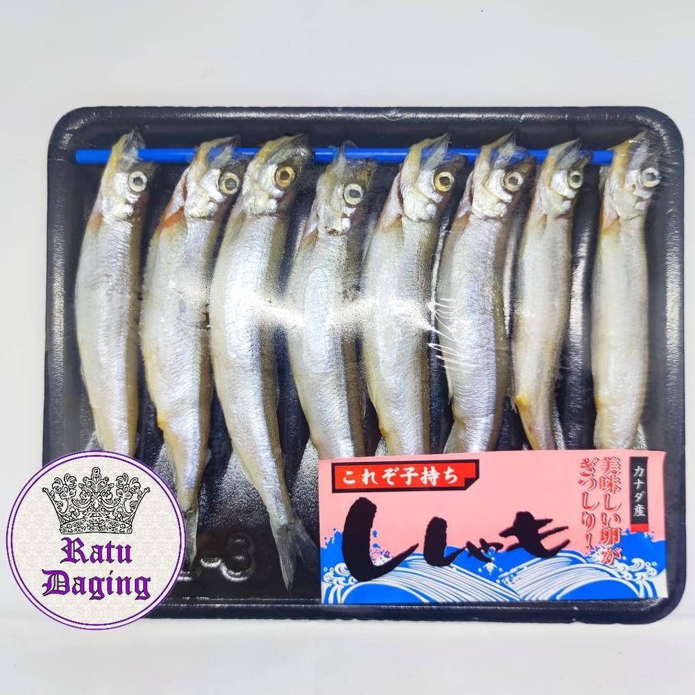 

Shisamo Fish Ikan Capelin 200gr - Jaminan Gendut" & Telurnya Banyak